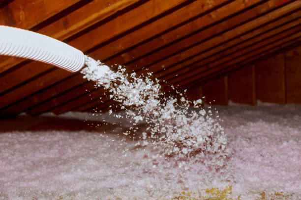 Professional Insulation Contractor in Innovation, VA