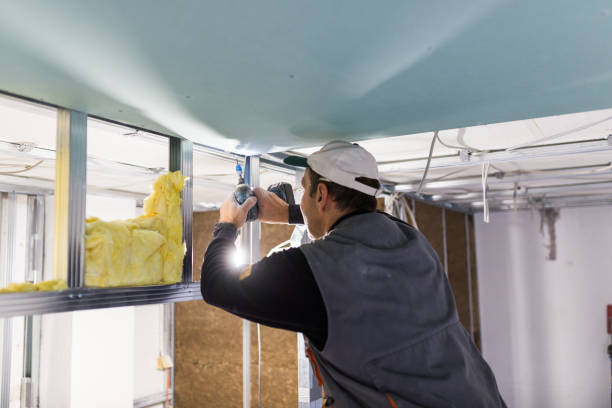 Best Cellulose Insulation in Innotion, VA